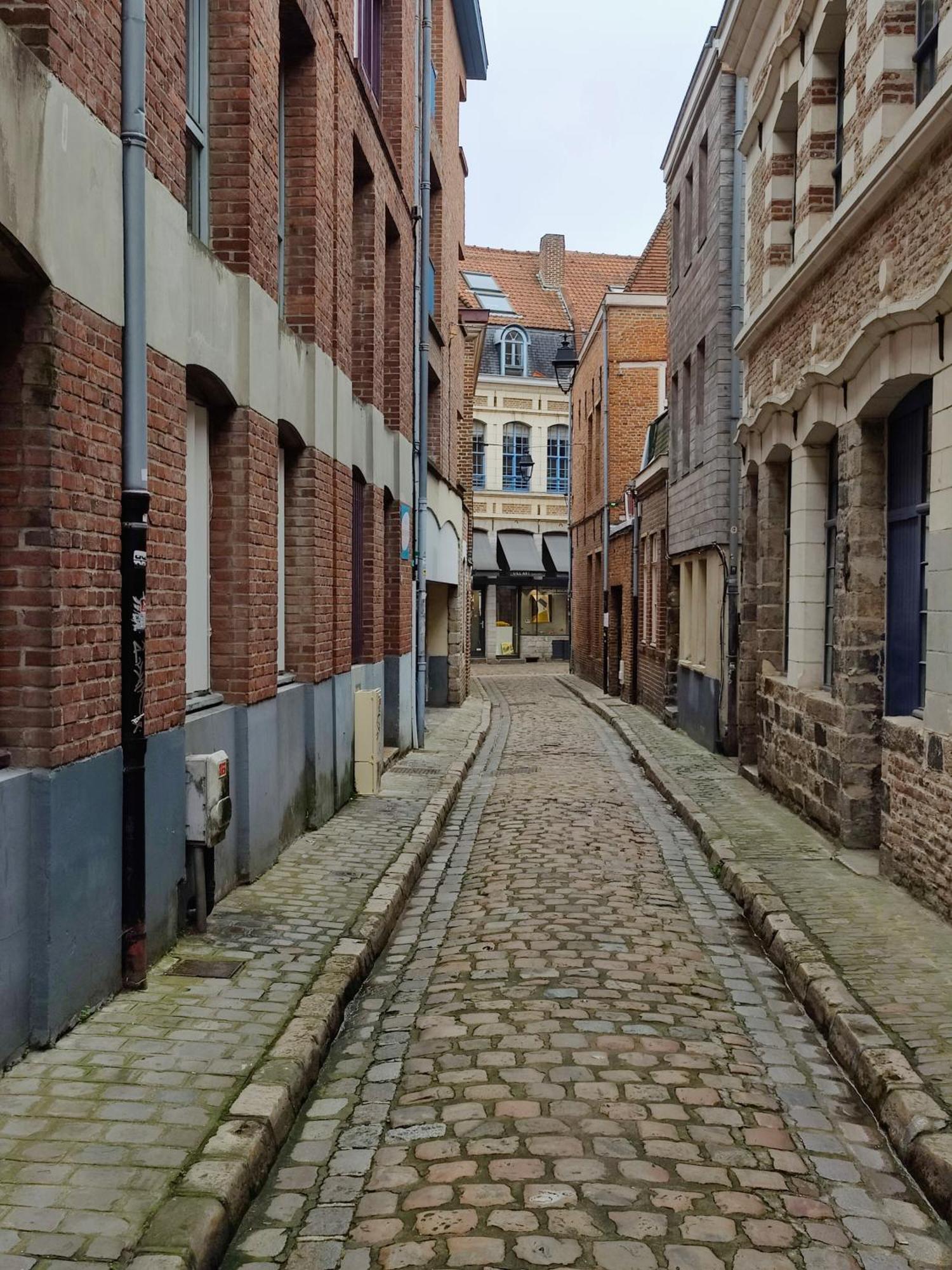 Studio Passage Des Arts - Vieux Lille Eksteriør billede